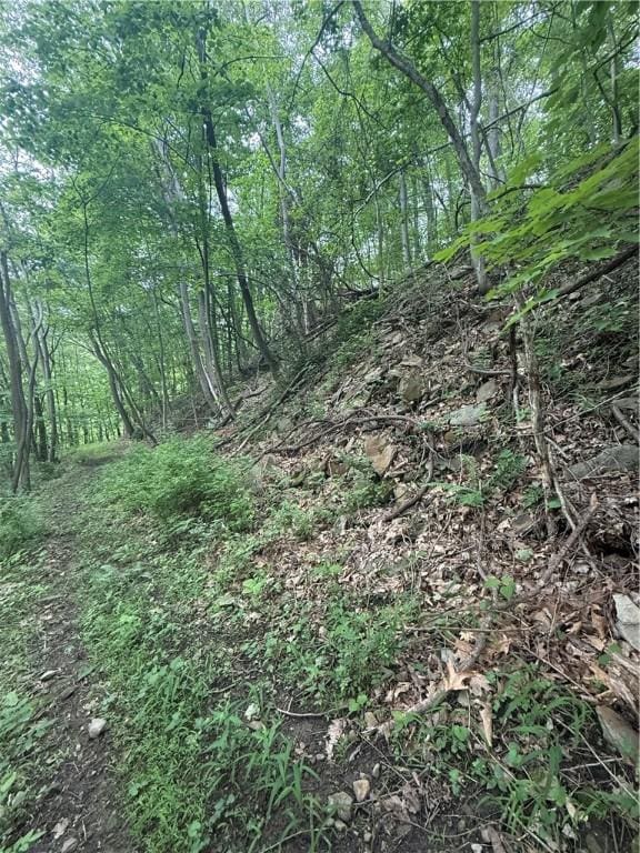 520 Palmer Rd, German Twp, PA 15410 - view of tree filled area