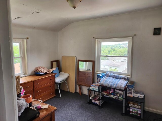 305 Charles Ter, Jeannette, PA 15644 - bedroom with vaulted ceiling and dark carpet