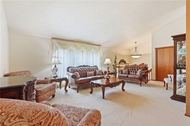 100 Welty Dr, Allegheny Twp Wml, PA 15068 - living room with carpet and lofted ceiling