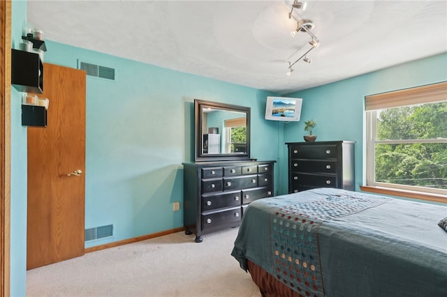 100 Welty Dr, Allegheny Twp Wml, PA 15068 - carpeted bedroom with multiple windows, baseboards, and rail lighting