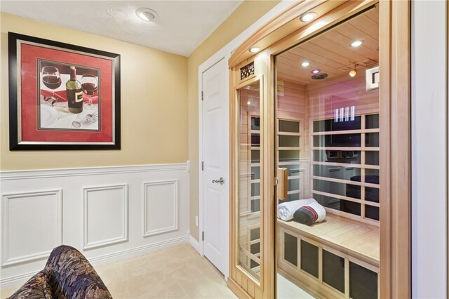 100 Welty Dr, Allegheny Twp Wml, PA 15068 - sauna / steam room featuring recessed lighting, wainscoting, and carpet