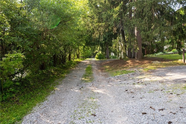 710 Beaver St, Leetsdale, PA 15056 - view of road featuring a forest view