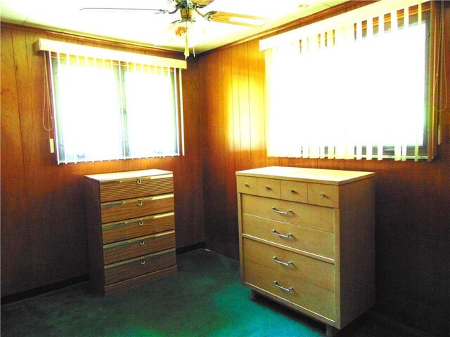 822 Fayette City Rd, Washington Twp, PA 15438 - interior space with multiple windows, wooden walls, and dark carpet