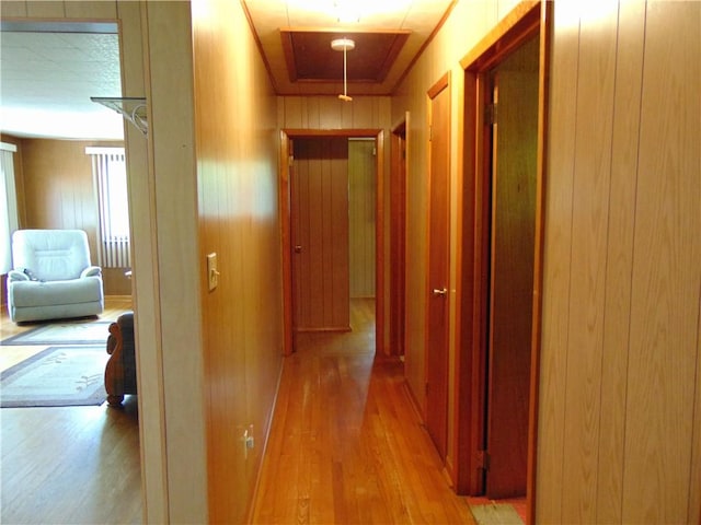 822 Fayette City Rd, Washington Twp, PA 15438 - hallway featuring wood finished floors and wooden walls