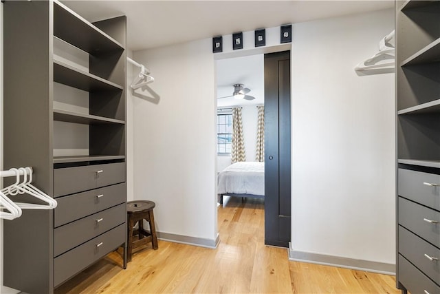 626 Suismon St, East Allegheny, PA 15212 - walk in closet featuring light wood-style flooring