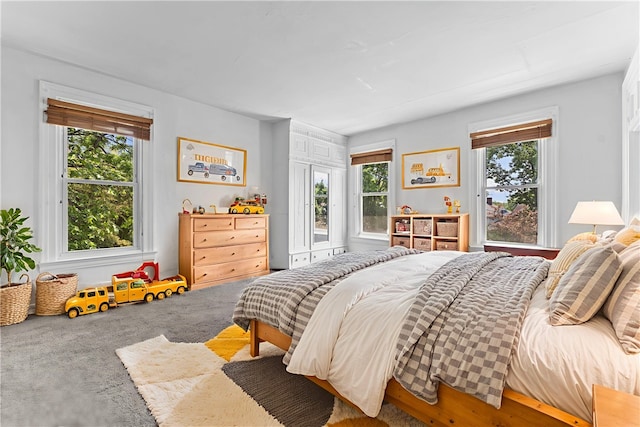 222 Marshall Ave, Observatory Hill, PA 15214 - bedroom with multiple windows and carpet floors