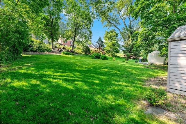 4649 Rolling Hills Rd, Whitehall, PA 15236 - view of green lawn