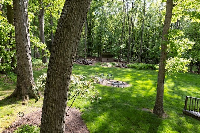 407 Highland Ct, Marshall, PA 15090 - view of grassy yard featuring a fire pit