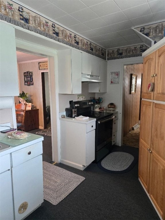 114 Dry Knob Rd, Georges Twp, PA 15478 - kitchen with electric range, under cabinet range hood, light countertops, and dark colored carpet