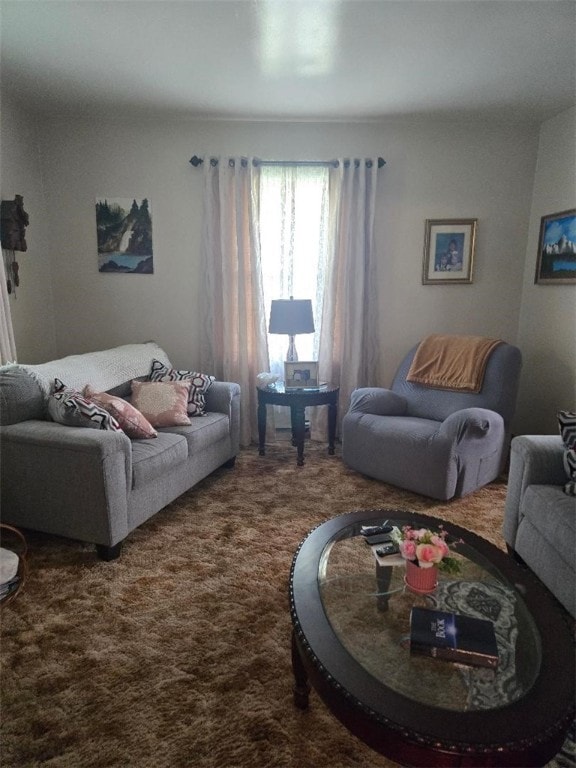 114 Dry Knob Rd, Georges Twp, PA 15478 - view of carpeted living area