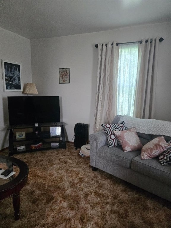 114 Dry Knob Rd, Georges Twp, PA 15478 - view of carpeted living room