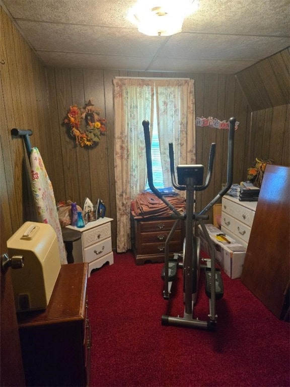 114 Dry Knob Rd, Georges Twp, PA 15478 - workout area with wooden walls and carpet flooring
