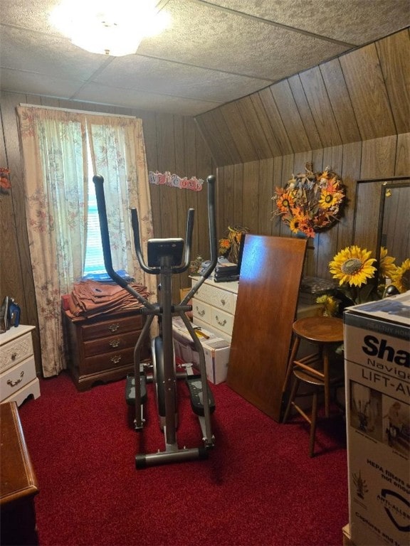 114 Dry Knob Rd, Georges Twp, PA 15478 - workout room with wooden walls, carpet, and vaulted ceiling
