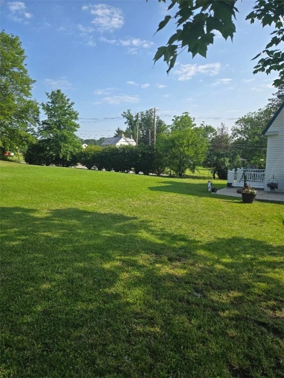 114 Dry Knob Rd, Georges Twp, PA 15478 - view of green lawn