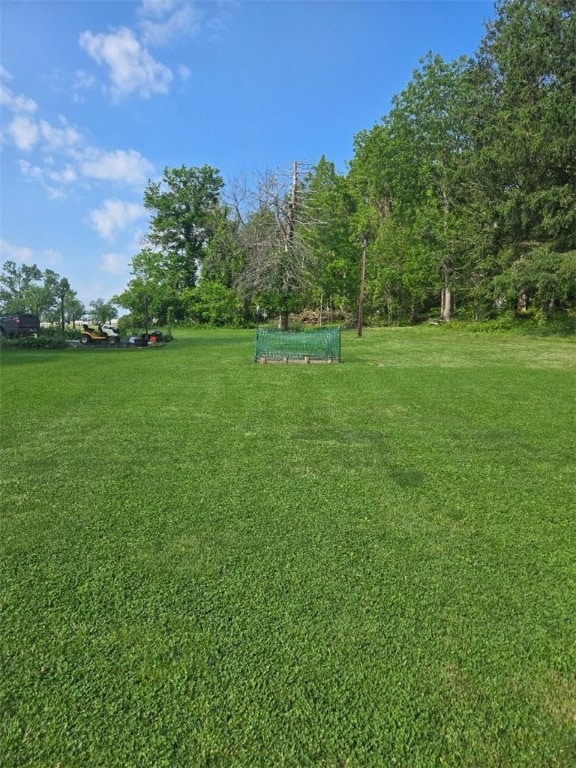 114 Dry Knob Rd, Georges Twp, PA 15478 - view of green lawn