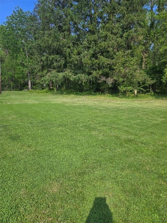 114 Dry Knob Rd, Georges Twp, PA 15478 - view of green lawn