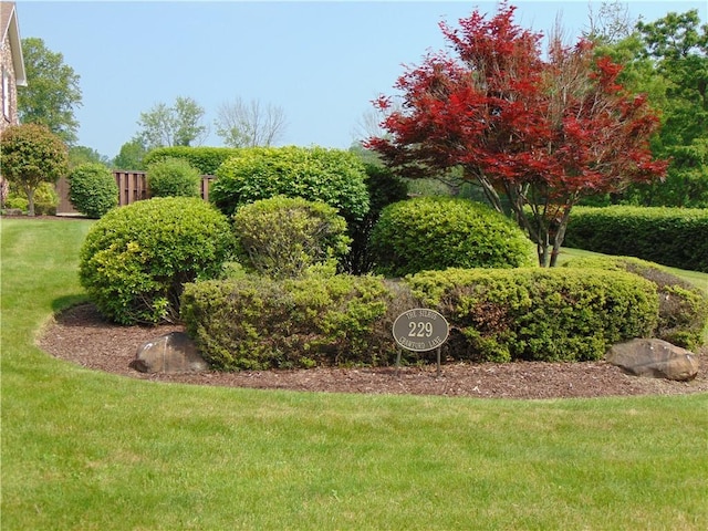 229 Crawford Ln, Rostraver, PA 15012 - view of grassy yard