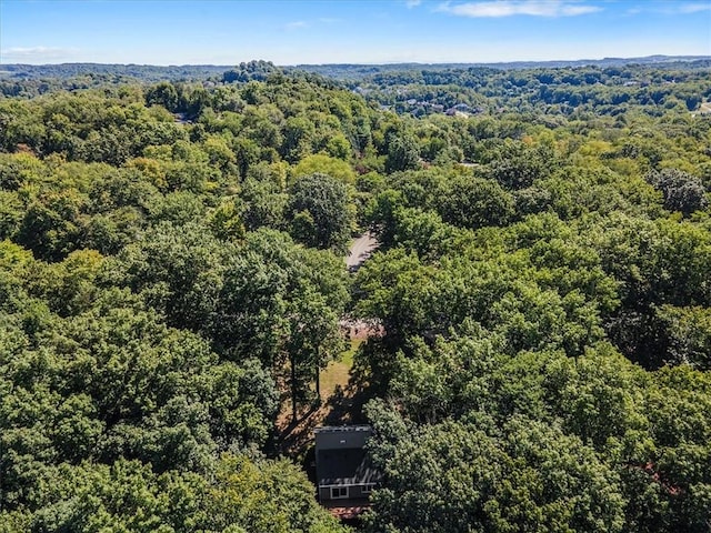 5114 Scenic Rd, Murrysville, PA 15668 - photo 50
