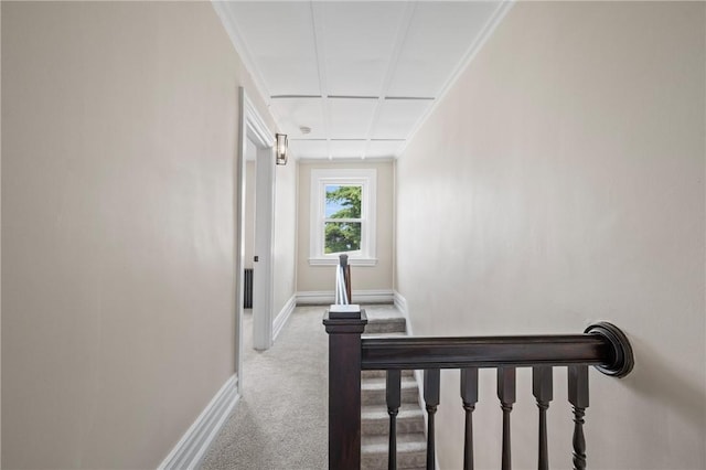 130 Pearl St, Bloomfield, PA 15224 - staircase with baseboards and carpet