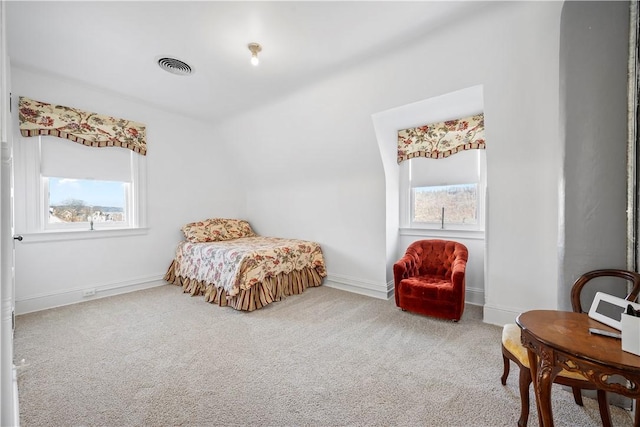 700 Meade St, Monongahela, PA 15063 - bedroom with multiple windows and carpet