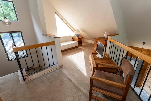 3908 Swiss Mountain Dr, Seven Springs Resort, PA 15622 - stairs with carpet