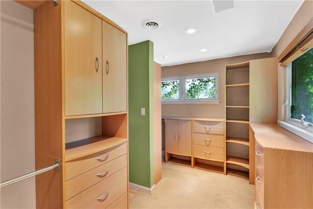 326 Pinevue Dr, Monroeville, PA 15146 - spacious closet featuring light carpet