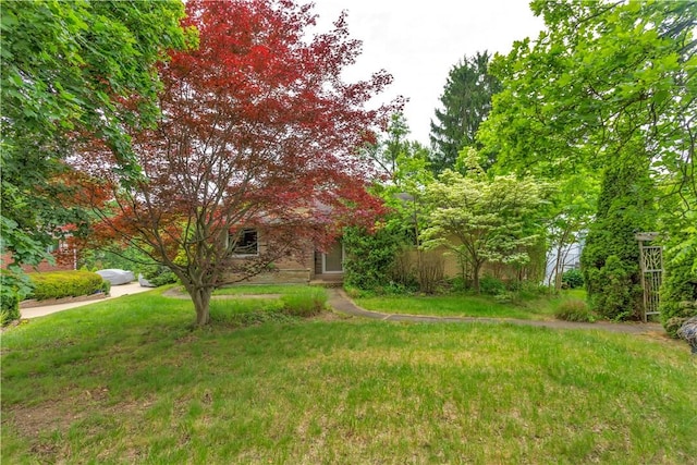 326 Pinevue Dr, Monroeville, PA 15146 - view of grassy yard