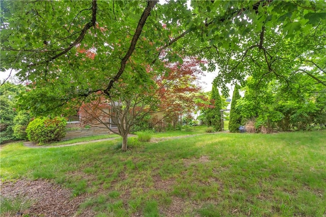326 Pinevue Dr, Monroeville, PA 15146 - view of grassy yard