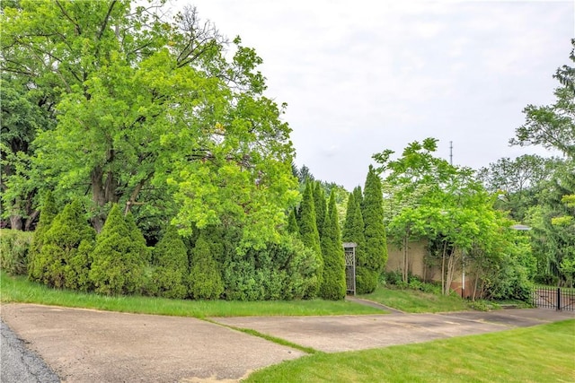 326 Pinevue Dr, Monroeville, PA 15146 - view of property's community