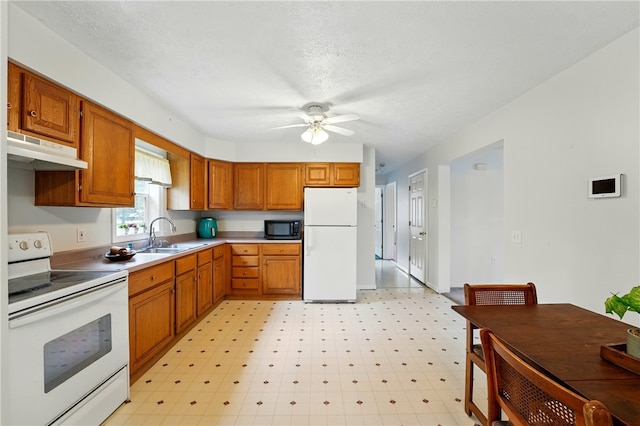 2002 Pulaski Rd, Neshannock Twp, PA 16105 - kitchen with white appliances, under cabinet range hood, a sink, a ceiling fan, and brown cabinetry