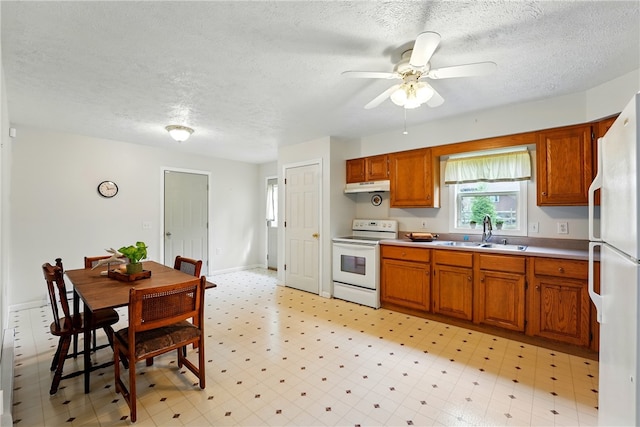 2002 Pulaski Rd, Neshannock Twp, PA 16105 - kitchen with white appliances, a sink, a textured ceiling, brown cabinets, and under cabinet range hood