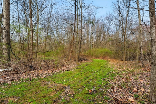 2002 Pulaski Rd, Neshannock Twp, PA 16105 - view of yard featuring a forest view