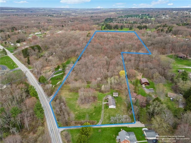 2002 Pulaski Rd, Neshannock Twp, PA 16105 - aerial view of property's location with property parcel outlined