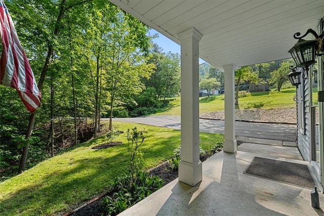 14 Laurel Hill Rd, Cecil, PA 15057 - view of patio