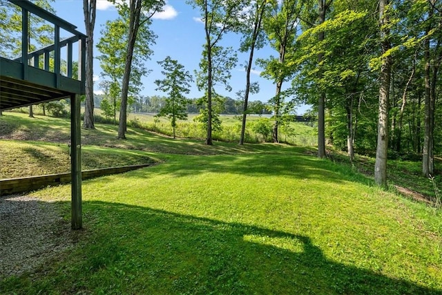 14 Laurel Hill Rd, Cecil, PA 15057 - view of green lawn with a deck