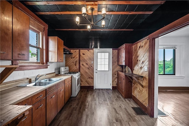 10 Amherst Ave, West View, PA 15229 - kitchen with white gas stove, dark wood-style flooring, healthy amount of natural light, and a sink