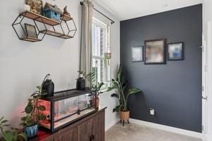 139 Moyer Hl, Cranberry Twp, PA 16066 - sitting room featuring baseboards and light colored carpet