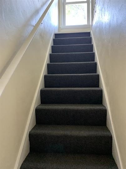 551-555 New Alexandria Rd, Hempfield Twp Wml, PA 15601 - staircase with carpet