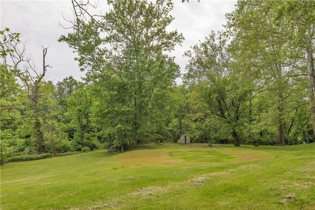 9830 Don Dr, North Huntingdon, PA 15642 - view of green lawn