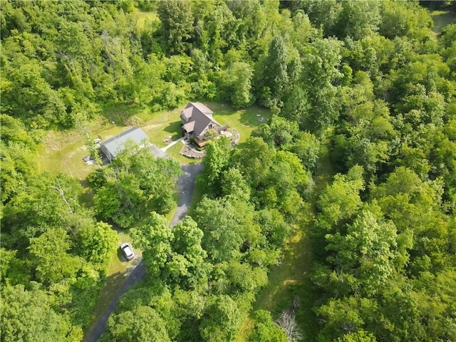 277 Dunn Rd, Hempfield Twp Wml, PA 15601 - view of property location with a forest