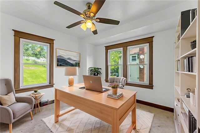 707 Hamil Rd, Penn Hills, PA 15147 - home office with plenty of natural light, light colored carpet, and ceiling fan