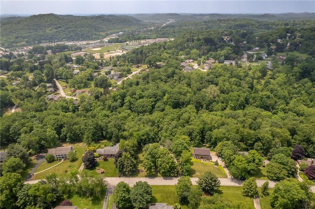 5132 Scenic Dr, Murrysville, PA 15668 - photo 47
