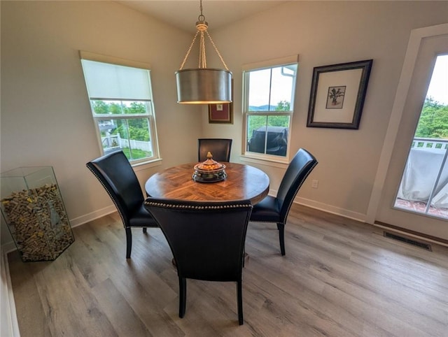 137 Red Horse Dr, Buffalo Twp But, PA 16055 - dining room with wood finished floors, plenty of natural light, and baseboards
