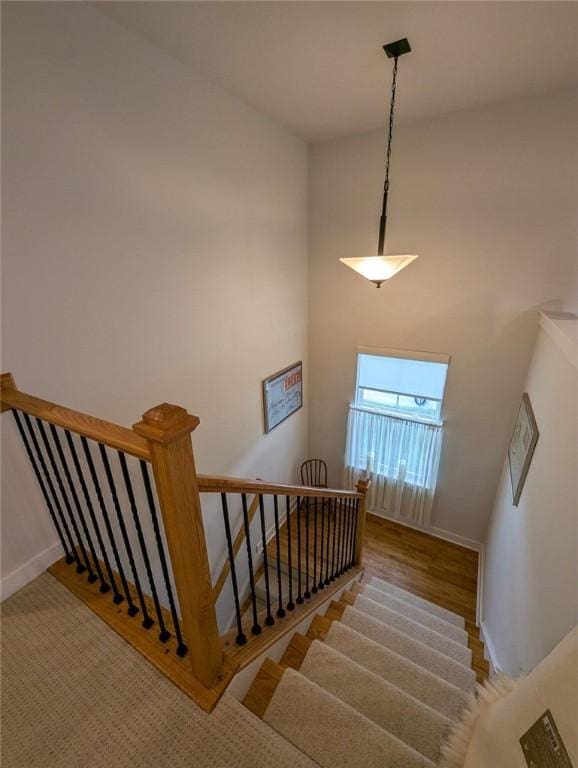 137 Red Horse Dr, Buffalo Twp But, PA 16055 - stairway with baseboards, wood finished floors, and a towering ceiling