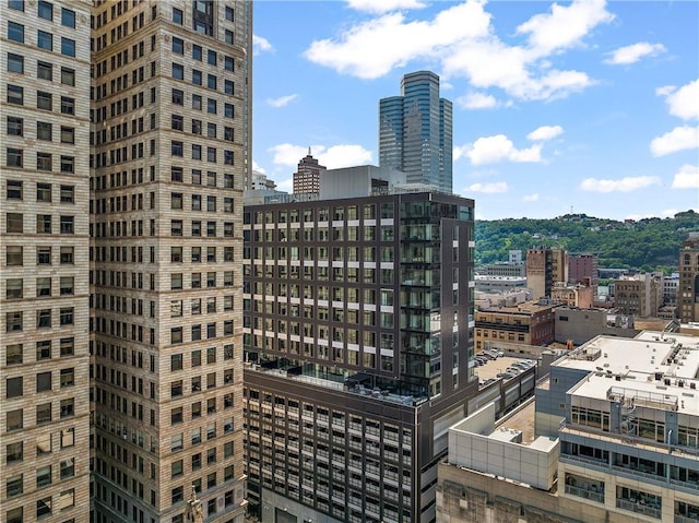 350 Oliver Ave Unit 908, Downtown Pgh, PA 15222 - photo 3