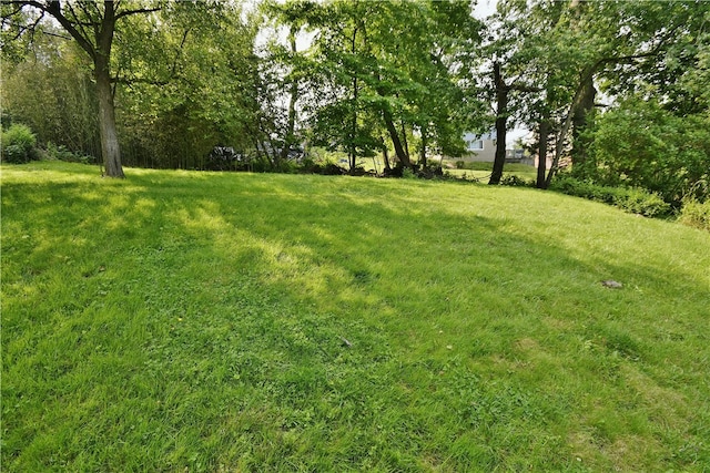 3743 Grant St, Castle Shannon, PA 15234 - view of green lawn