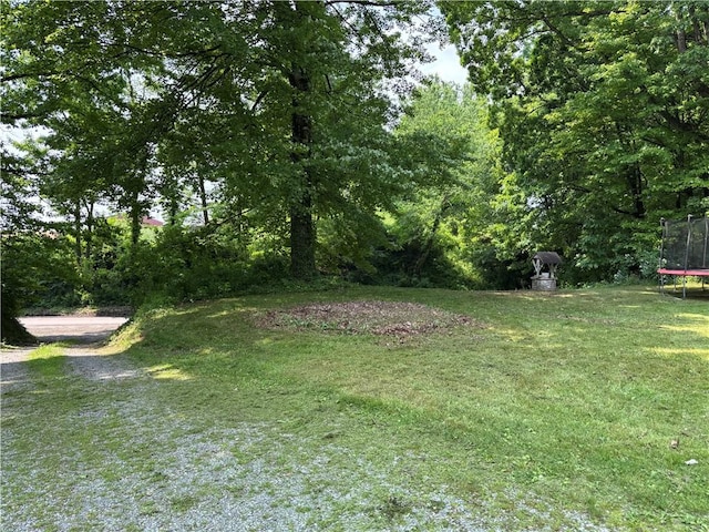119 Glacial Till Rd, Slippery Rock Twp But, PA 16057 - view of green lawn with a trampoline