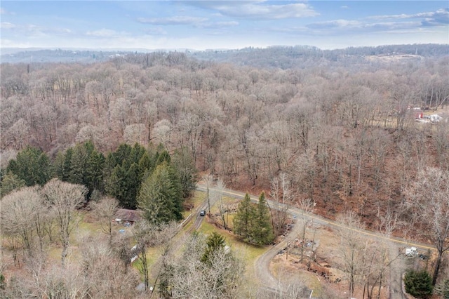 316 Dutchman Run Rd, Lower Burrell, PA 15068 - view of property location featuring a forest