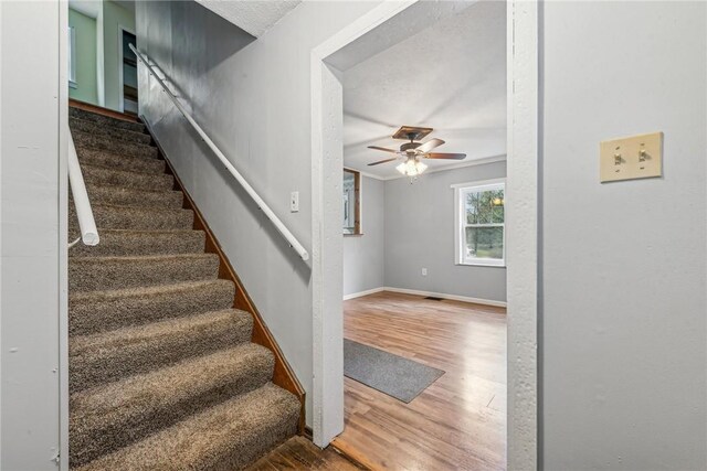 316 Dutchman Run Rd, Lower Burrell, PA 15068 - staircase with wood finished floors, a ceiling fan, and baseboards