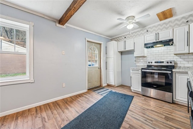 316 Dutchman Run Rd, Lower Burrell, PA 15068 - kitchen with under cabinet range hood, stainless steel electric range oven, plenty of natural light, a ceiling fan, and ornamental molding